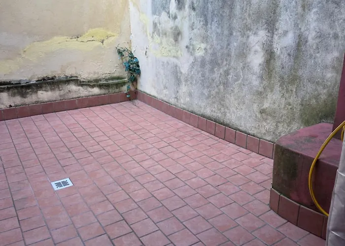 Casa Corso Corsi Piano Terra Apartment Parma